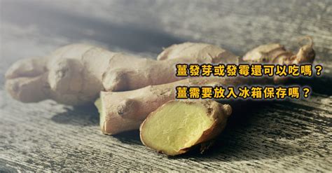 薑壞掉怎麼看|薑壞掉可以吃嗎？腐爛薑產生致癌物質黃樟素指南 